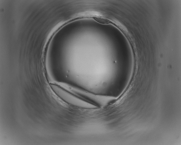 X0000070191248200605301305