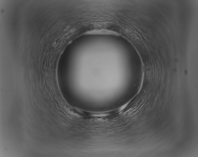 X0000070191249200605301304