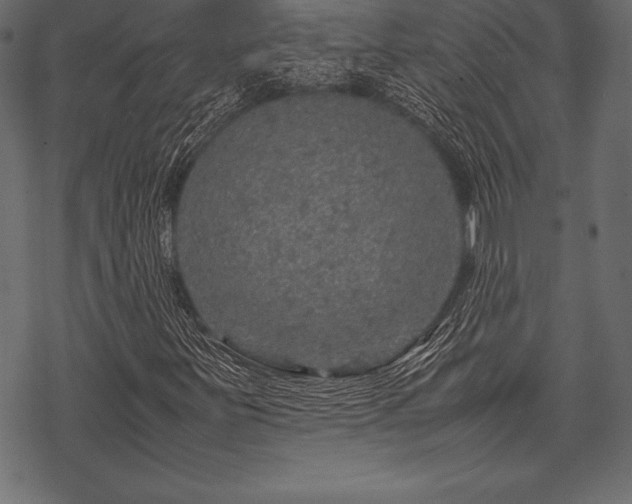 X0000070191251200605301304