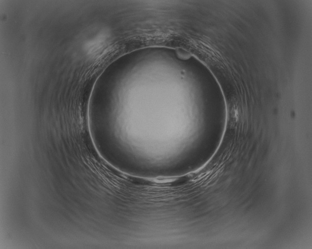 X0000070191252200605301304