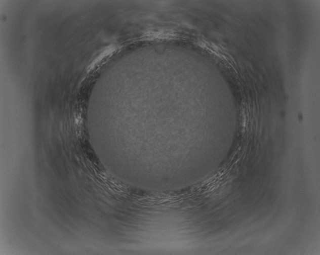 X0000070191254200605301304