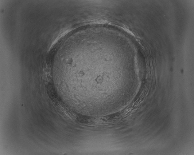 X0000070191255200605301304