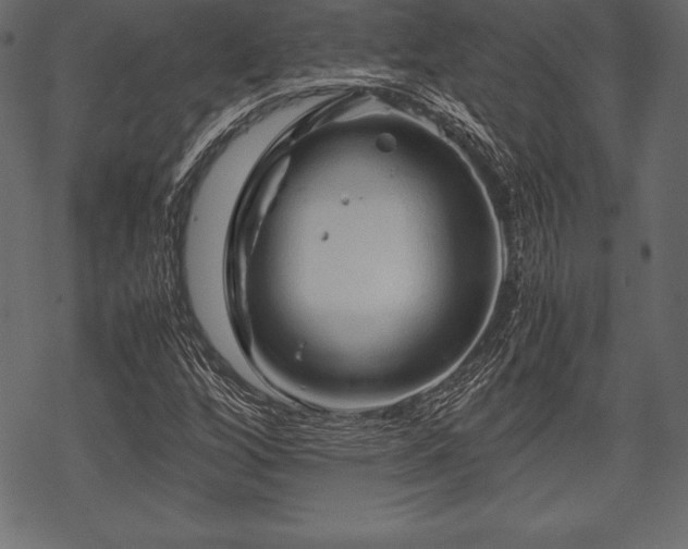 X0000070191256200605301304