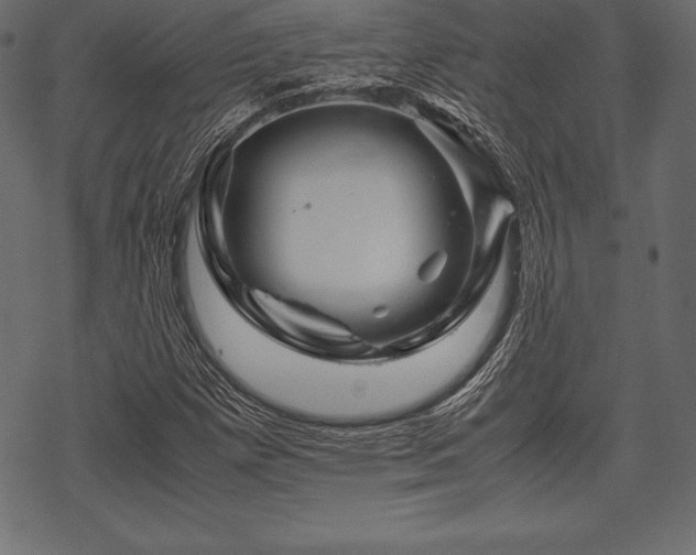 X0000070191257200605301304