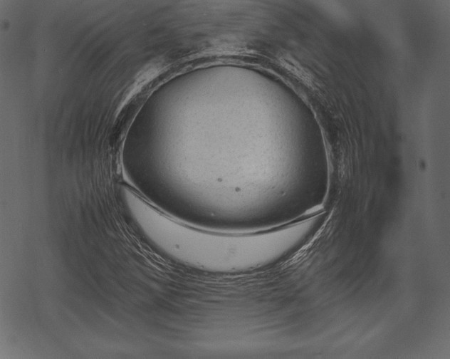 X0000070191258200605301304