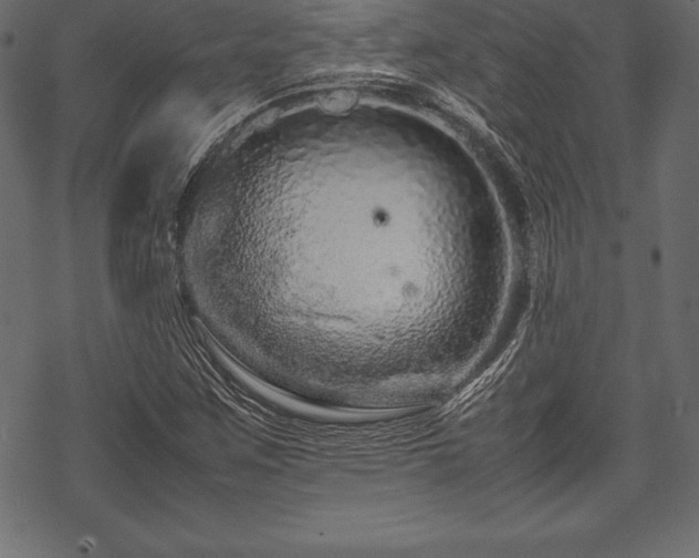 X0000070191259200605301304