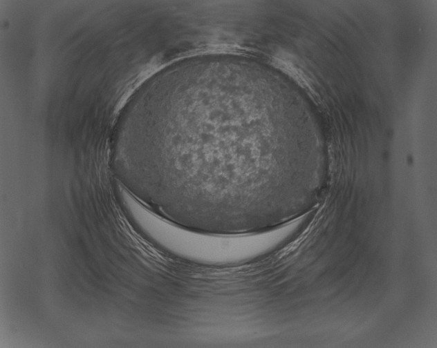 X0000070191260200605301304