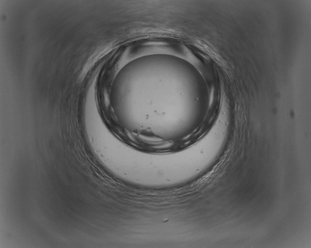 X0000070191261200605301304