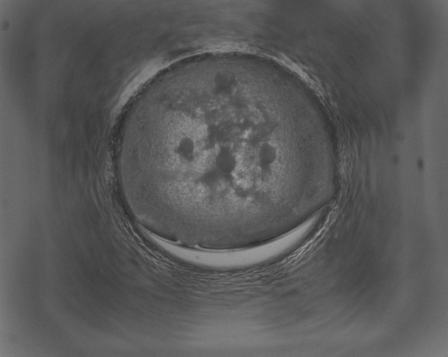 X0000070191263200605301304