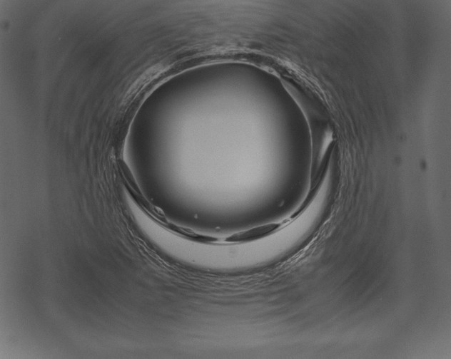 X0000070191265200605301304