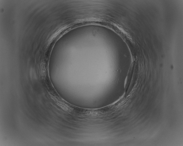 X0000070191266200605301304