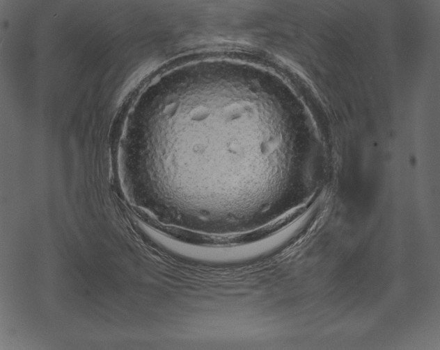 X0000070191267200605301304