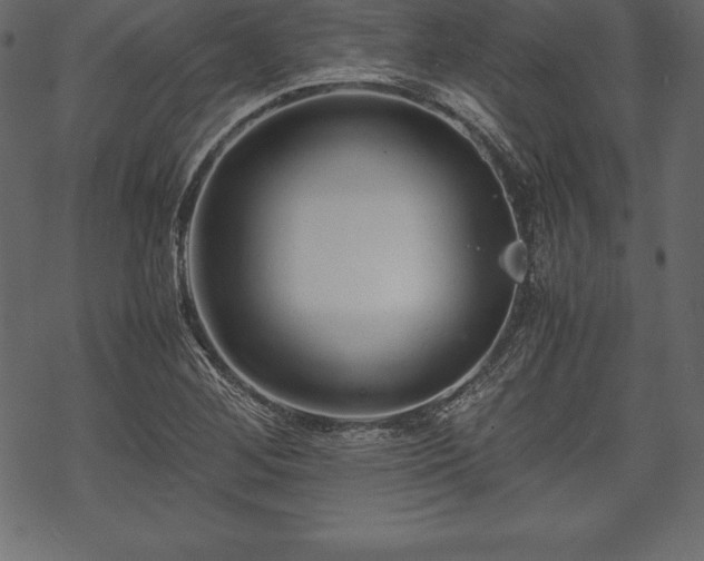 X0000070191268200605301303