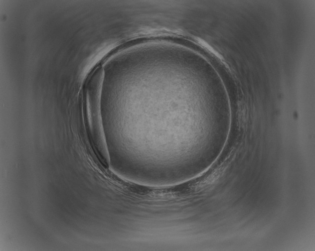 X0000070191269200605301303