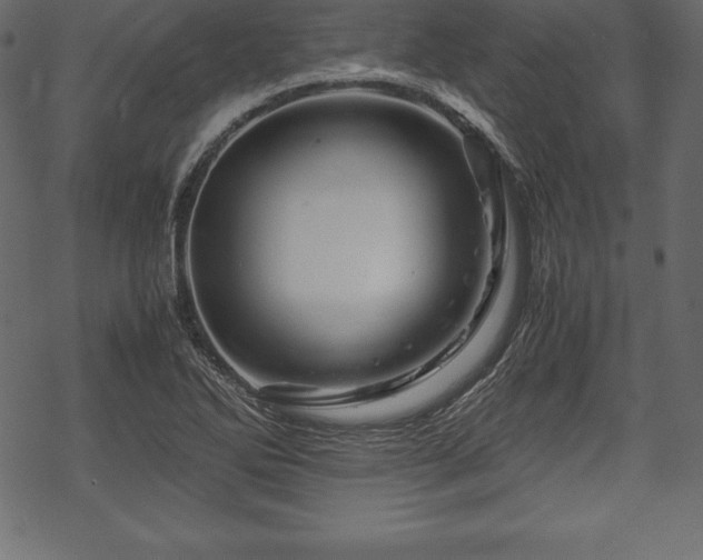 X0000070191270200605301303