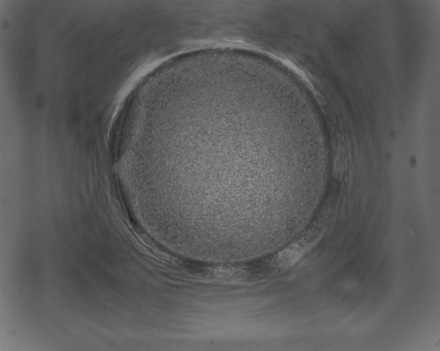 X0000070191271200605301303