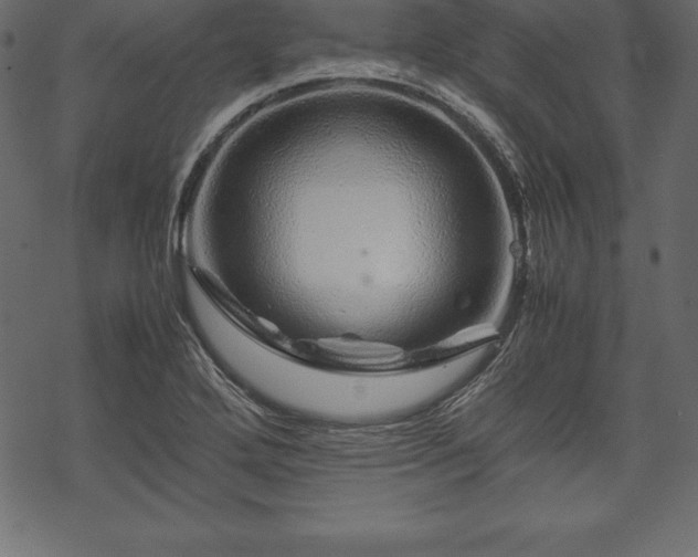 X0000070191272200605301303