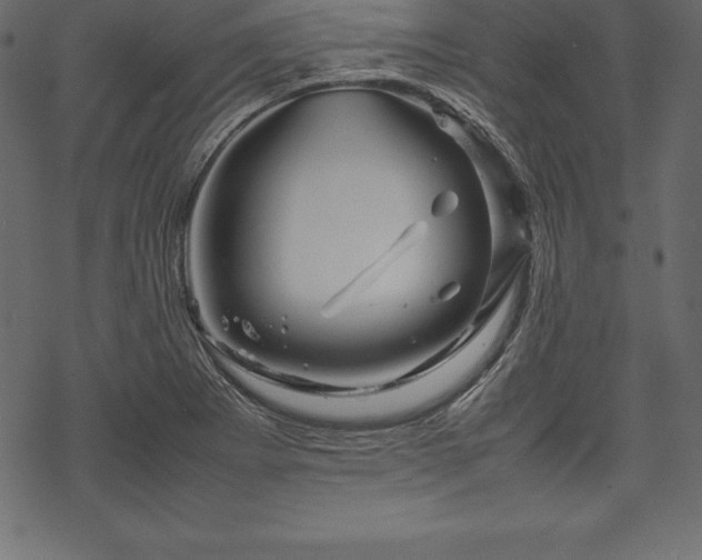 X0000070191273200605301303