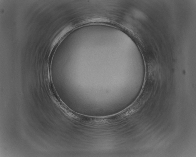 X0000070191274200605301303