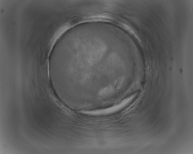 X0000070191275200605301303