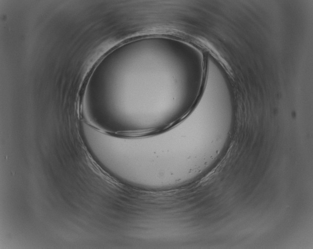 X0000070191276200605301303