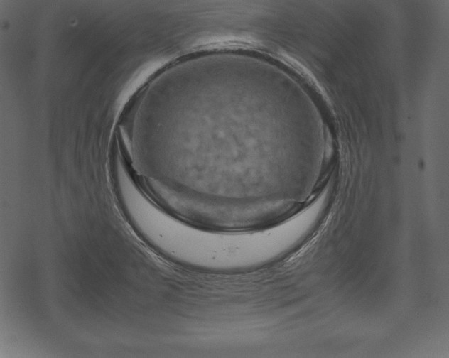 X0000070191277200605301303