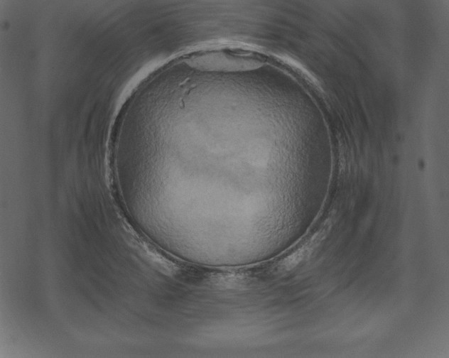 X0000070191278200605301303