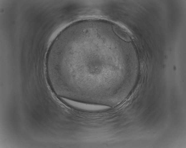 X0000070191279200605301303