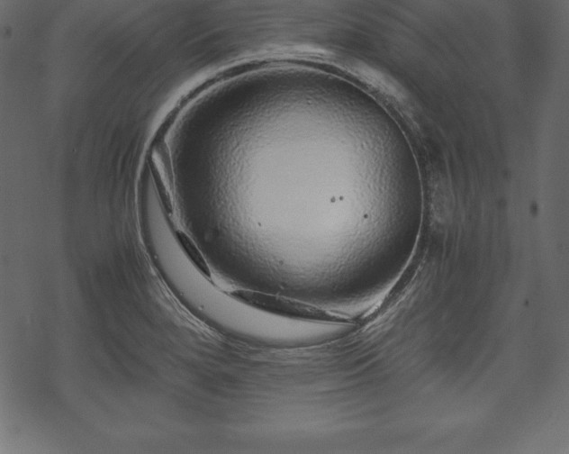 X0000070191280200605301303