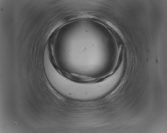 X0000070191281200605301303