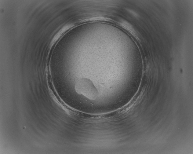 X0000070191282200605301303