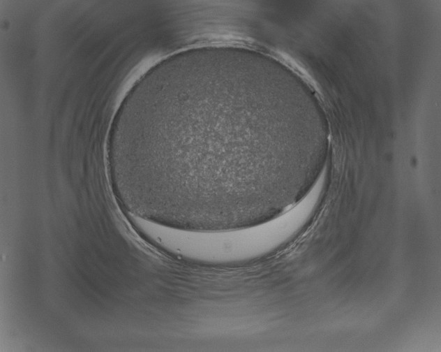 X0000070191283200605301303