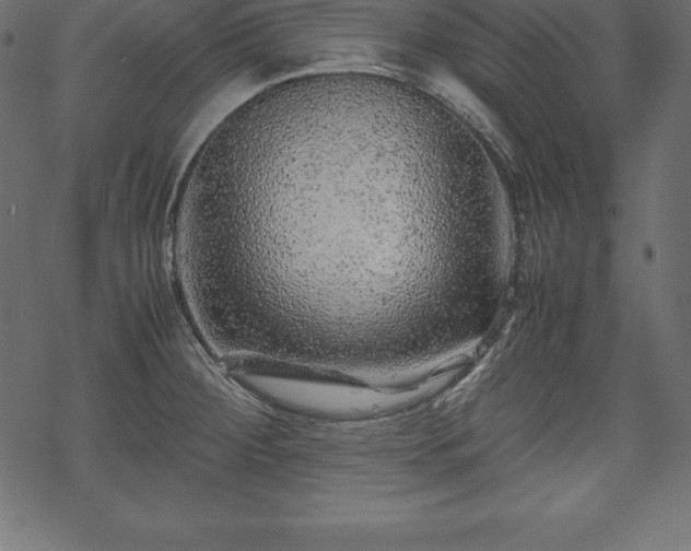 X0000070191284200605301303