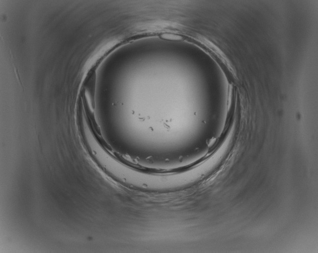 X0000070191285200605301303