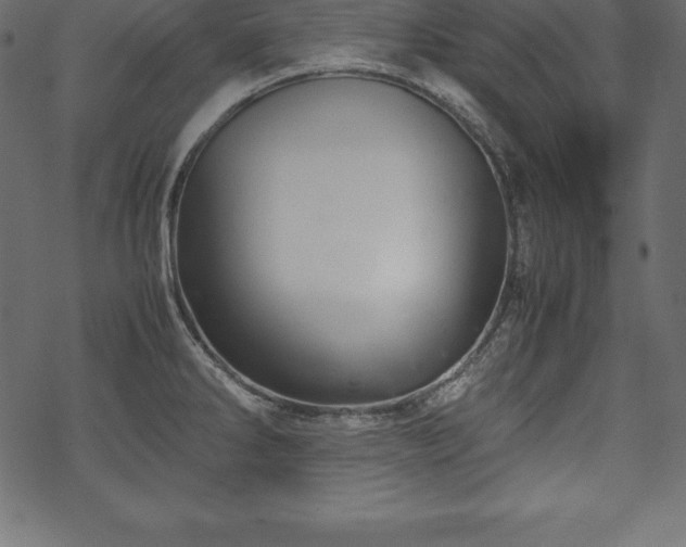 X0000070191286200605301303