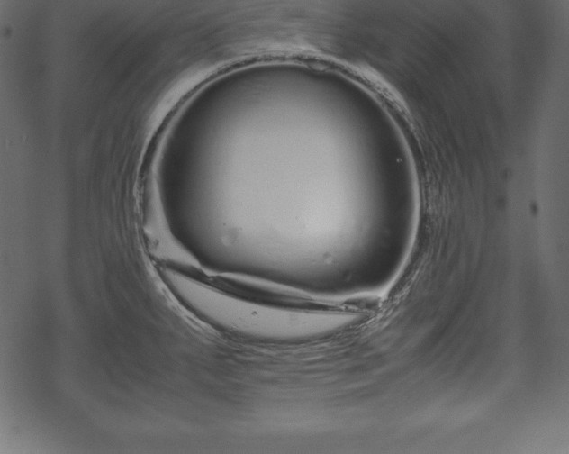 X0000070191287200605301303