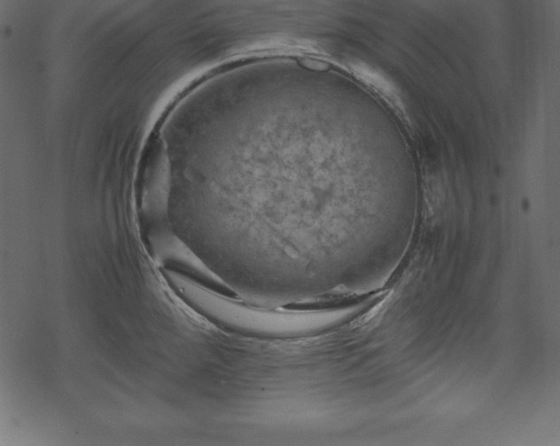 X0000070191288200605301303