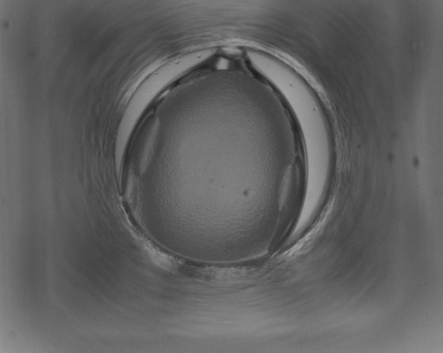 X0000070191289200605301303