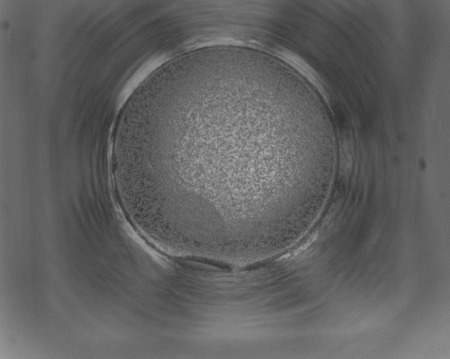 X0000070191290200605301303