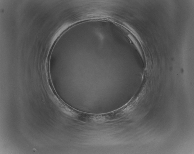 X0000070191291200605301303