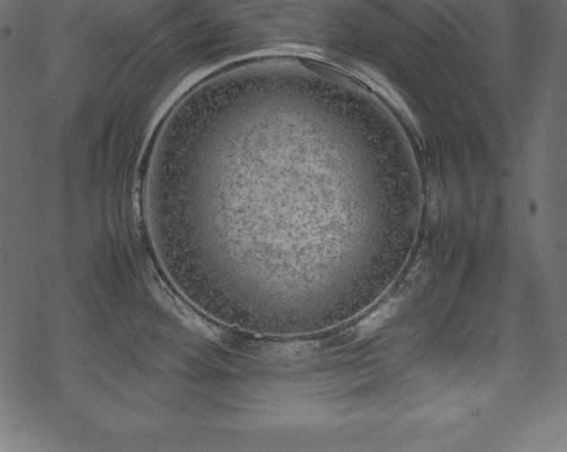 X0000070191292200605301303