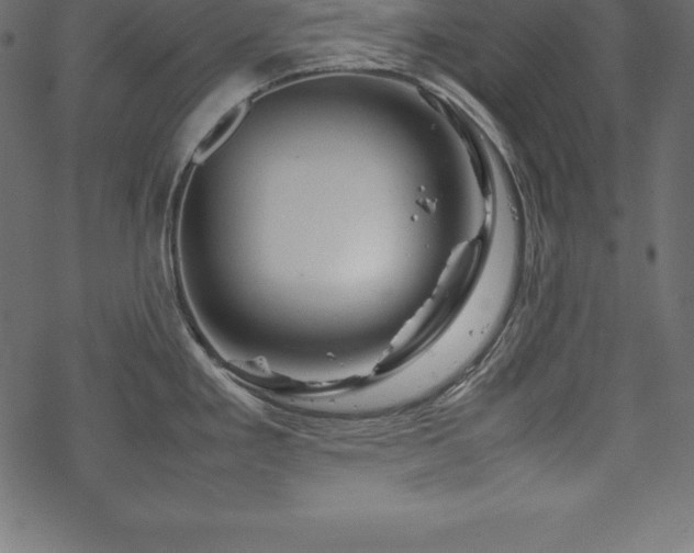 X0000070191293200605301303