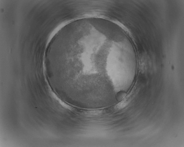 X0000070191294200605301303