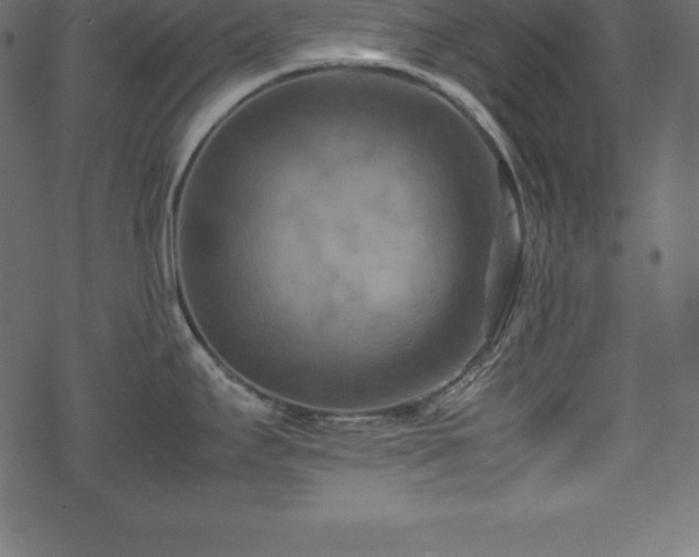 X0000070191295200605301303