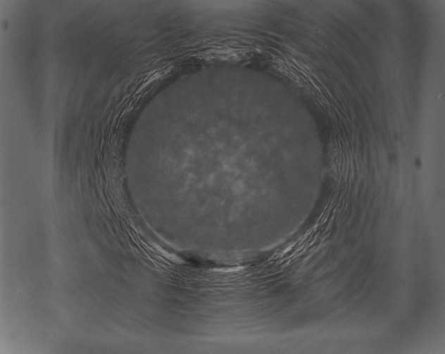 X0000070191297200605301302