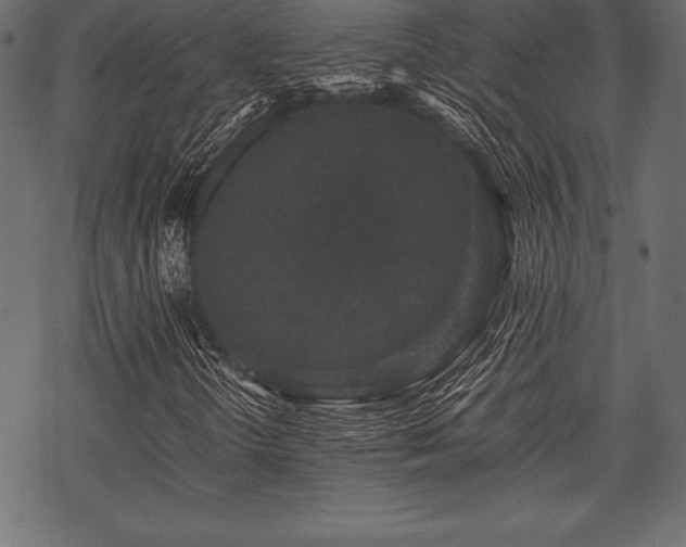 X0000070191298200605301302