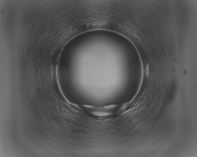 X0000070191299200605301302