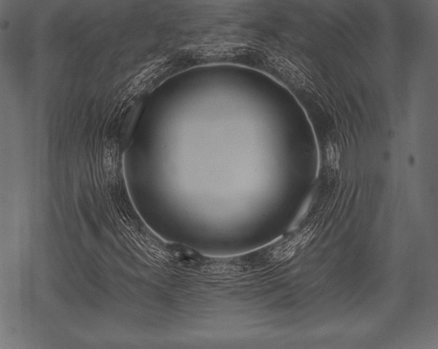 X0000070191300200605301302