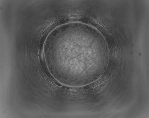 X0000070191301200605301302