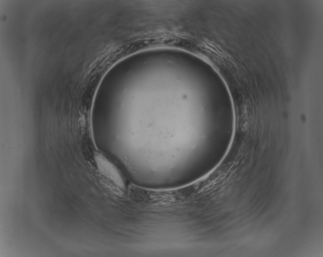 X0000070191302200605301302